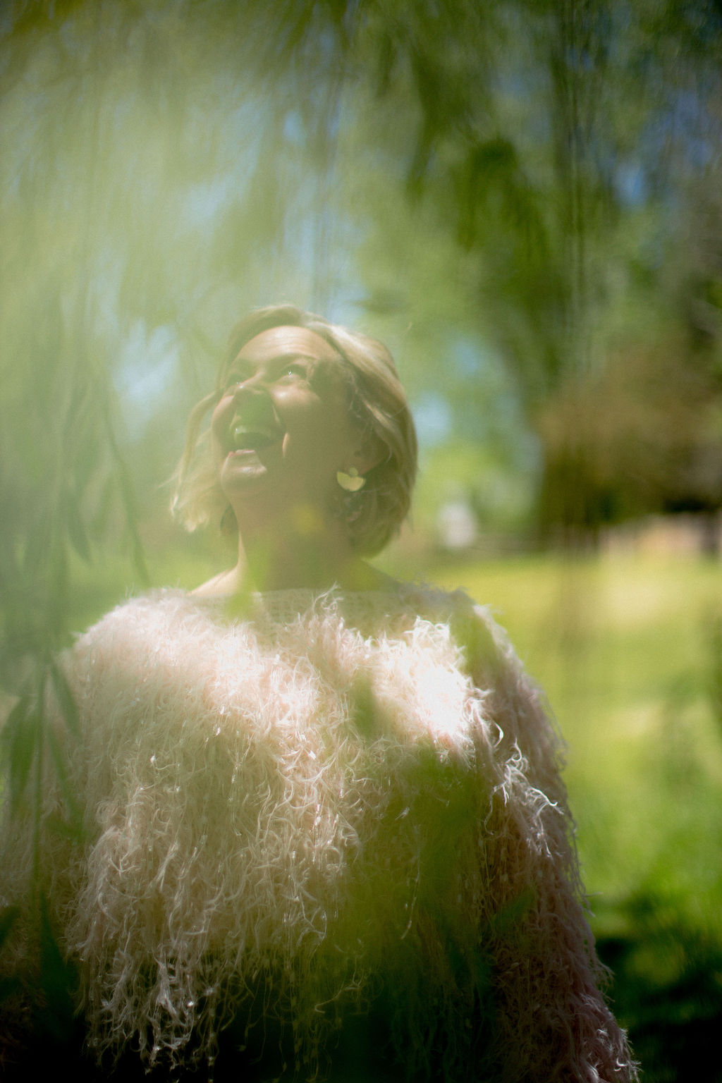 D LeD bathed in sunlight beneath a willow tree